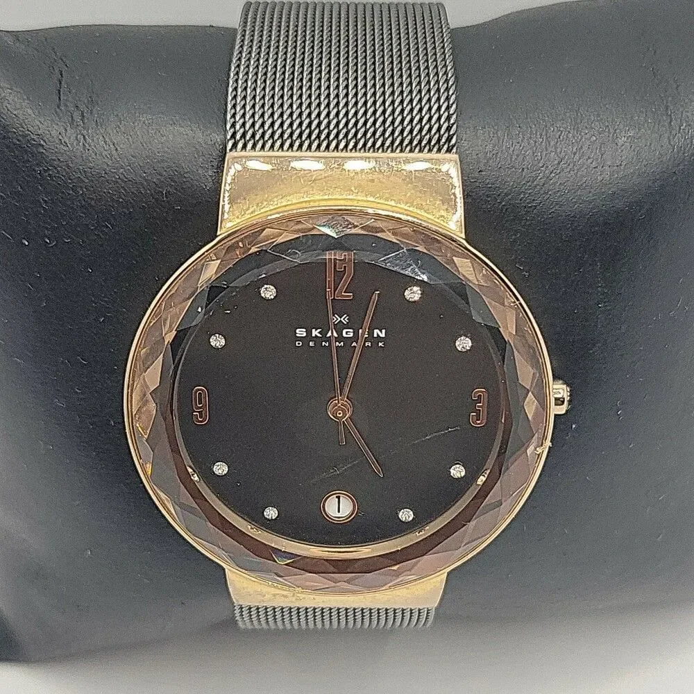 Skagen SKW2120 Women's Stainless Steel Mesh Analog Dial Quartz Wrist Watch AM613